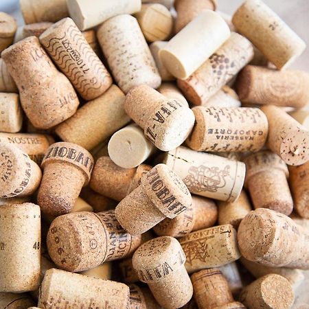 مبيت وإفطار Reeuwijk Bed And Wine Nonsolovino المظهر الخارجي الصورة