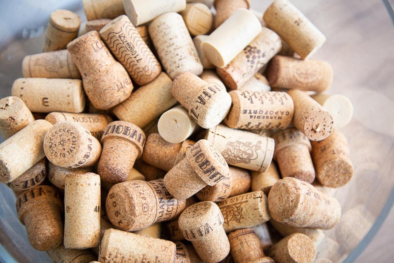 مبيت وإفطار Reeuwijk Bed And Wine Nonsolovino المظهر الخارجي الصورة